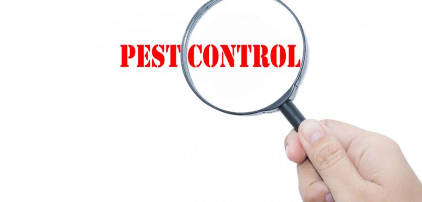 İŞLETMELER İÇİN HAŞERE KONTROL MÜCADELESİ